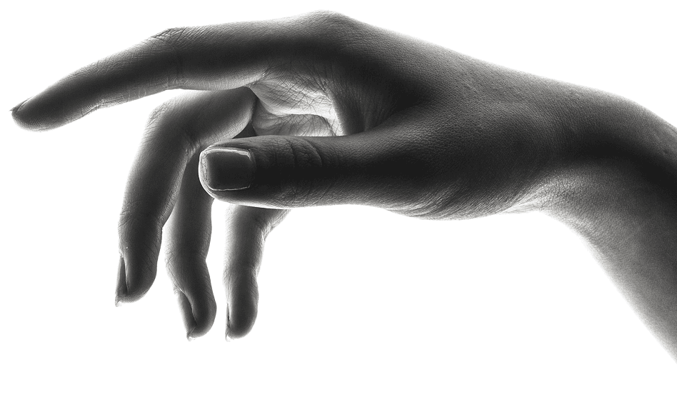 organization and activities